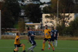 Varfjell - Tomrefjord 2021